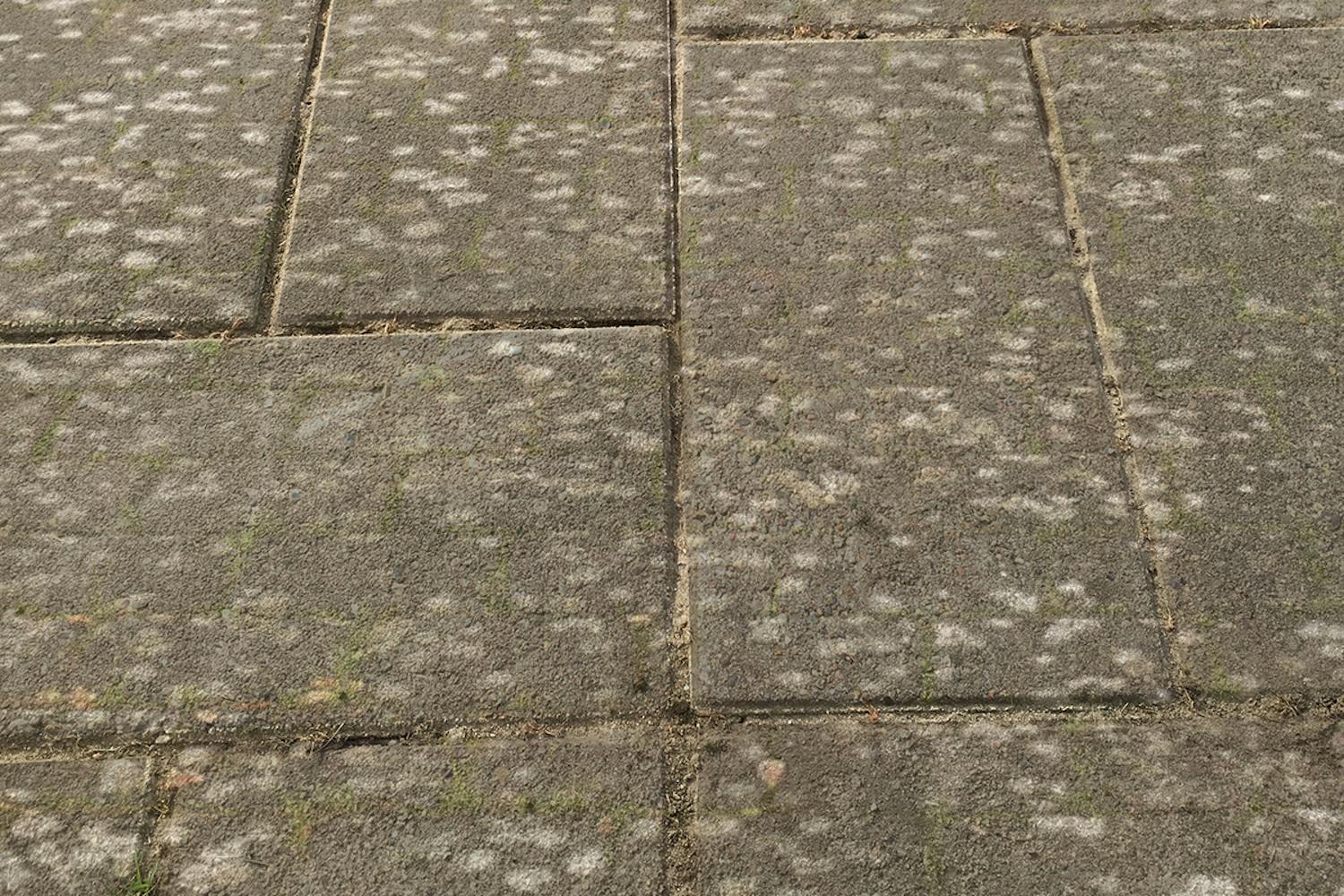 Rengöra stenplattor: Fri från kakelpest Rengöra stenplattor: Kakelpest